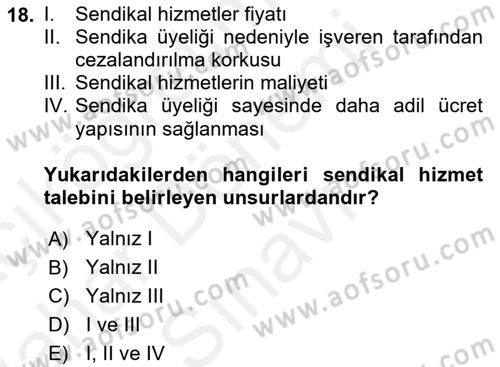 Çalışma Ekonomisi Dersi 2018 - 2019 Yılı (Final) Dönem Sonu Sınav Soruları 18. Soru