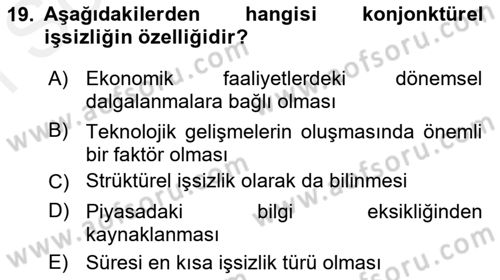 Çalışma Ekonomisi Dersi 2018 - 2019 Yılı (Final) Dönem Sonu Sınav Soruları 19. Soru