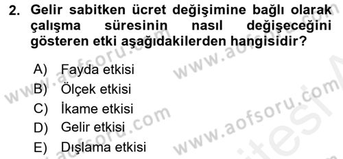 Çalışma Ekonomisi Dersi 2018 - 2019 Yılı (Final) Dönem Sonu Sınav Soruları 2. Soru