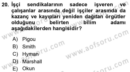 Çalışma Ekonomisi Dersi 2018 - 2019 Yılı (Final) Dönem Sonu Sınav Soruları 20. Soru
