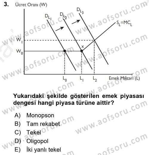 Çalışma Ekonomisi Dersi 2018 - 2019 Yılı (Final) Dönem Sonu Sınav Soruları 3. Soru