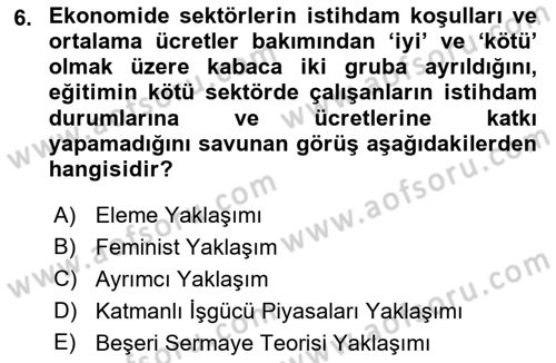 Çalışma Ekonomisi Dersi 2018 - 2019 Yılı (Final) Dönem Sonu Sınav Soruları 6. Soru