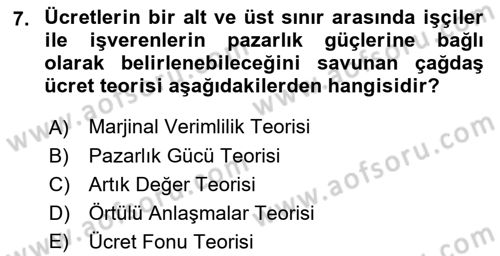 Çalışma Ekonomisi Dersi 2018 - 2019 Yılı (Final) Dönem Sonu Sınav Soruları 7. Soru