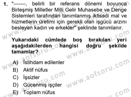 Çalışma Ekonomisi Dersi 2018 - 2019 Yılı Yaz Okulu Sınav Soruları 1. Soru