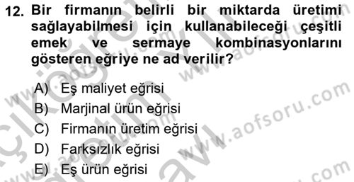 Çalışma Ekonomisi Dersi 2018 - 2019 Yılı Yaz Okulu Sınav Soruları 12. Soru
