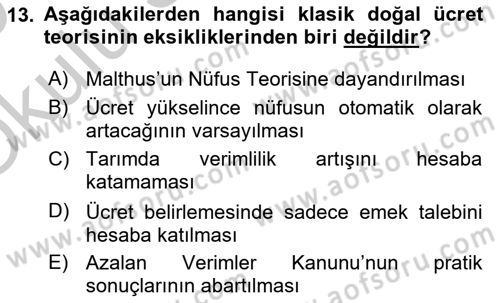 Çalışma Ekonomisi Dersi 2018 - 2019 Yılı Yaz Okulu Sınav Soruları 13. Soru