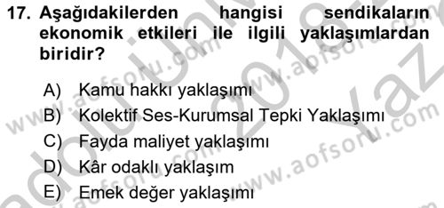 Çalışma Ekonomisi Dersi 2018 - 2019 Yılı Yaz Okulu Sınav Soruları 17. Soru