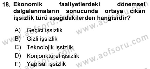 Çalışma Ekonomisi Dersi 2018 - 2019 Yılı Yaz Okulu Sınav Soruları 18. Soru