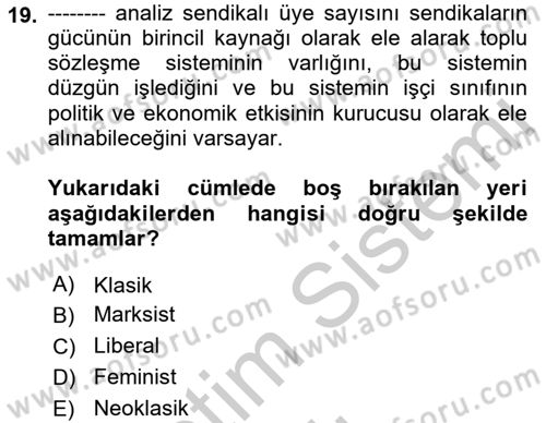 Çalışma Ekonomisi Dersi 2018 - 2019 Yılı Yaz Okulu Sınav Soruları 19. Soru