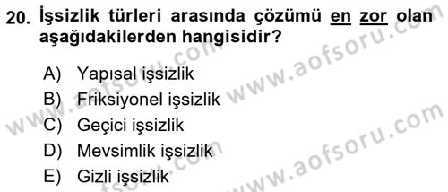 Çalışma Ekonomisi Dersi 2018 - 2019 Yılı Yaz Okulu Sınav Soruları 20. Soru