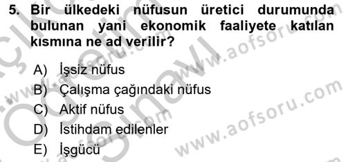 Çalışma Ekonomisi Dersi 2018 - 2019 Yılı Yaz Okulu Sınav Soruları 5. Soru