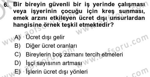 Çalışma Ekonomisi Dersi 2018 - 2019 Yılı Yaz Okulu Sınav Soruları 6. Soru