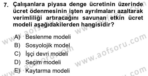 Çalışma Ekonomisi Dersi 2018 - 2019 Yılı Yaz Okulu Sınav Soruları 7. Soru