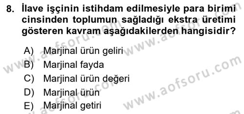 Çalışma Ekonomisi Dersi 2018 - 2019 Yılı Yaz Okulu Sınav Soruları 8. Soru
