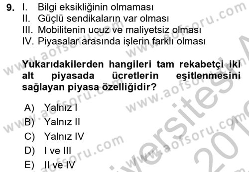 Çalışma Ekonomisi Dersi 2018 - 2019 Yılı Yaz Okulu Sınav Soruları 9. Soru