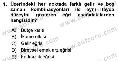Çalışma Ekonomisi Dersi 2020 - 2021 Yılı Yaz Okulu Sınav Soruları 1. Soru