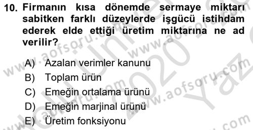 Çalışma Ekonomisi Dersi 2020 - 2021 Yılı Yaz Okulu Sınav Soruları 10. Soru