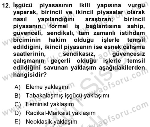 Çalışma Ekonomisi Dersi 2020 - 2021 Yılı Yaz Okulu Sınav Soruları 12. Soru