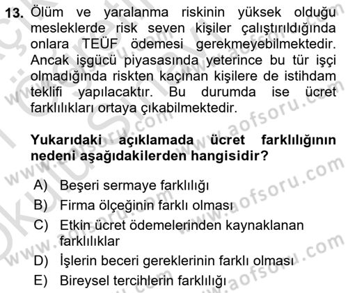 Çalışma Ekonomisi Dersi 2020 - 2021 Yılı Yaz Okulu Sınav Soruları 13. Soru