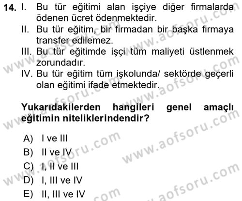 Çalışma Ekonomisi Dersi 2020 - 2021 Yılı Yaz Okulu Sınav Soruları 14. Soru