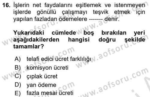 Çalışma Ekonomisi Dersi 2020 - 2021 Yılı Yaz Okulu Sınav Soruları 16. Soru