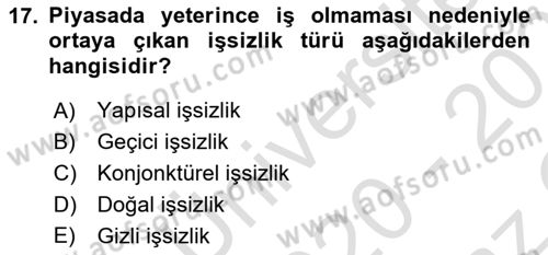 Çalışma Ekonomisi Dersi 2020 - 2021 Yılı Yaz Okulu Sınav Soruları 17. Soru