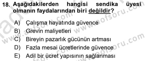 Çalışma Ekonomisi Dersi 2020 - 2021 Yılı Yaz Okulu Sınav Soruları 18. Soru