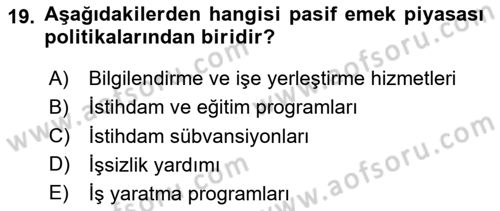 Çalışma Ekonomisi Dersi 2020 - 2021 Yılı Yaz Okulu Sınav Soruları 19. Soru