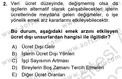 Çalışma Ekonomisi Dersi 2020 - 2021 Yılı Yaz Okulu Sınav Soruları 2. Soru