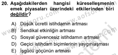 Çalışma Ekonomisi Dersi 2020 - 2021 Yılı Yaz Okulu Sınav Soruları 20. Soru