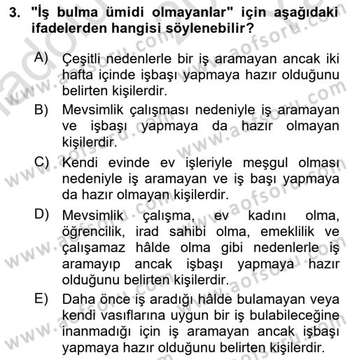 Çalışma Ekonomisi Dersi 2020 - 2021 Yılı Yaz Okulu Sınav Soruları 3. Soru