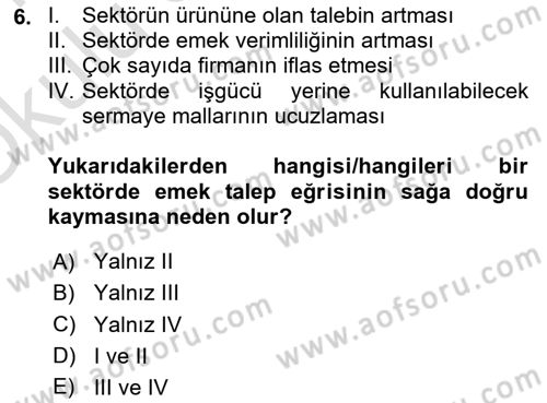 Çalışma Ekonomisi Dersi 2020 - 2021 Yılı Yaz Okulu Sınav Soruları 6. Soru