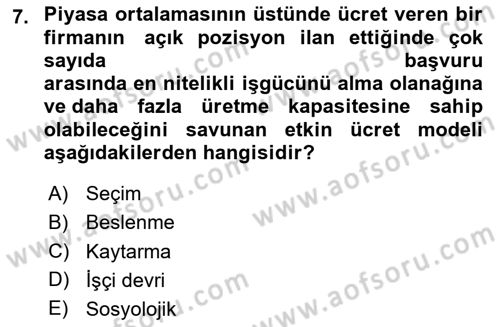 Çalışma Ekonomisi Dersi 2020 - 2021 Yılı Yaz Okulu Sınav Soruları 7. Soru