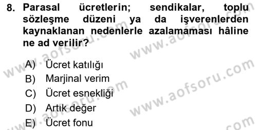 Çalışma Ekonomisi Dersi 2020 - 2021 Yılı Yaz Okulu Sınav Soruları 8. Soru
