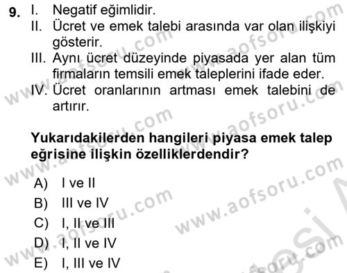 Çalışma Ekonomisi Dersi 2020 - 2021 Yılı Yaz Okulu Sınav Soruları 9. Soru