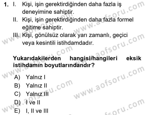 Çalışma Ekonomisi Dersi 2021 - 2022 Yılı (Vize) Ara Sınav Soruları 1. Soru