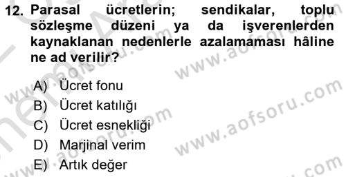 Çalışma Ekonomisi Dersi 2021 - 2022 Yılı (Vize) Ara Sınav Soruları 12. Soru