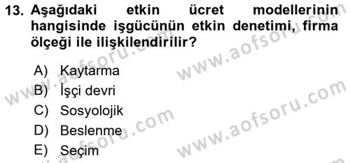 Çalışma Ekonomisi Dersi 2021 - 2022 Yılı (Vize) Ara Sınav Soruları 13. Soru