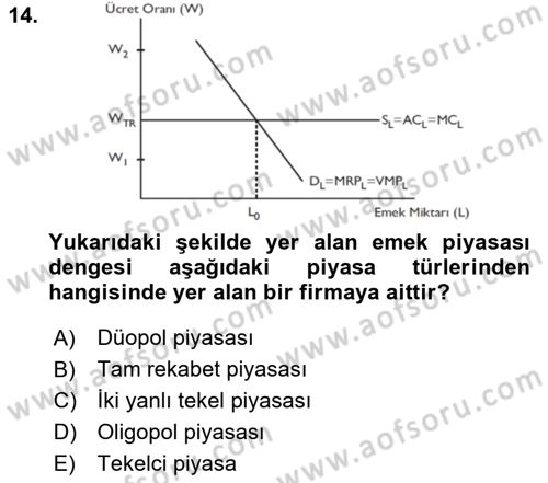 Çalışma Ekonomisi Dersi 2021 - 2022 Yılı (Vize) Ara Sınav Soruları 14. Soru