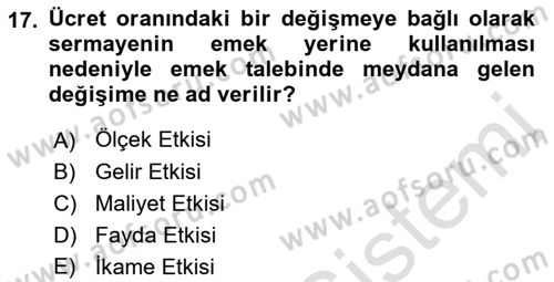 Çalışma Ekonomisi Dersi 2021 - 2022 Yılı (Vize) Ara Sınav Soruları 17. Soru