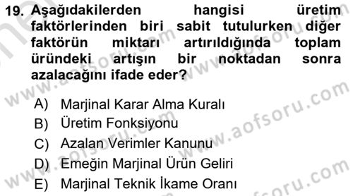 Çalışma Ekonomisi Dersi 2021 - 2022 Yılı (Vize) Ara Sınav Soruları 19. Soru