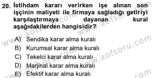 Çalışma Ekonomisi Dersi 2021 - 2022 Yılı (Vize) Ara Sınav Soruları 20. Soru
