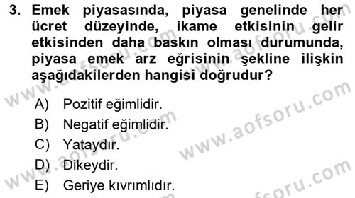 Çalışma Ekonomisi Dersi 2021 - 2022 Yılı (Vize) Ara Sınav Soruları 3. Soru