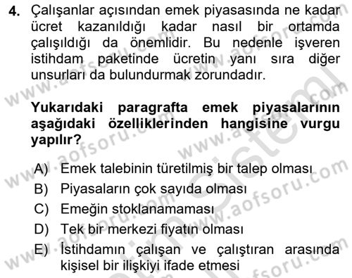 Çalışma Ekonomisi Dersi 2021 - 2022 Yılı (Vize) Ara Sınav Soruları 4. Soru