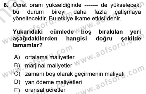 Çalışma Ekonomisi Dersi 2021 - 2022 Yılı (Vize) Ara Sınav Soruları 6. Soru