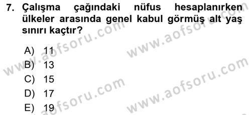 Çalışma Ekonomisi Dersi 2021 - 2022 Yılı (Vize) Ara Sınav Soruları 7. Soru