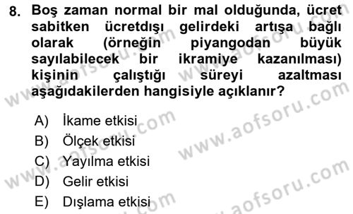 Çalışma Ekonomisi Dersi 2021 - 2022 Yılı (Vize) Ara Sınav Soruları 8. Soru