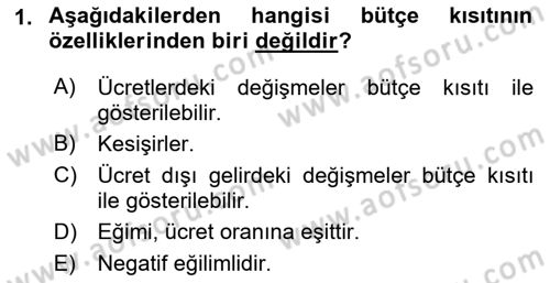 Çalışma Ekonomisi Dersi 2021 - 2022 Yılı (Final) Dönem Sonu Sınav Soruları 1. Soru
