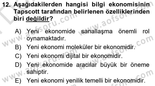 Çalışma Ekonomisi Dersi 2021 - 2022 Yılı (Final) Dönem Sonu Sınav Soruları 12. Soru