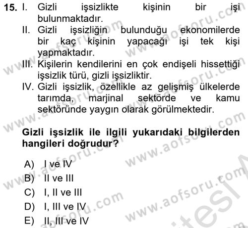 Çalışma Ekonomisi Dersi 2021 - 2022 Yılı (Final) Dönem Sonu Sınav Soruları 15. Soru